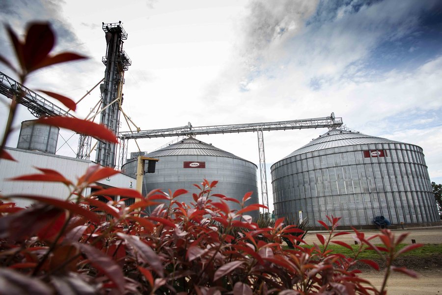 Silos metálicos con base plana o base cónica subterránea de hormigón