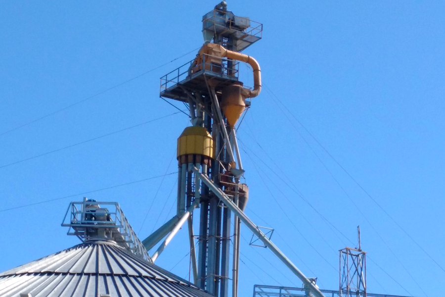 Prelimpieza y aspiración de polvillo